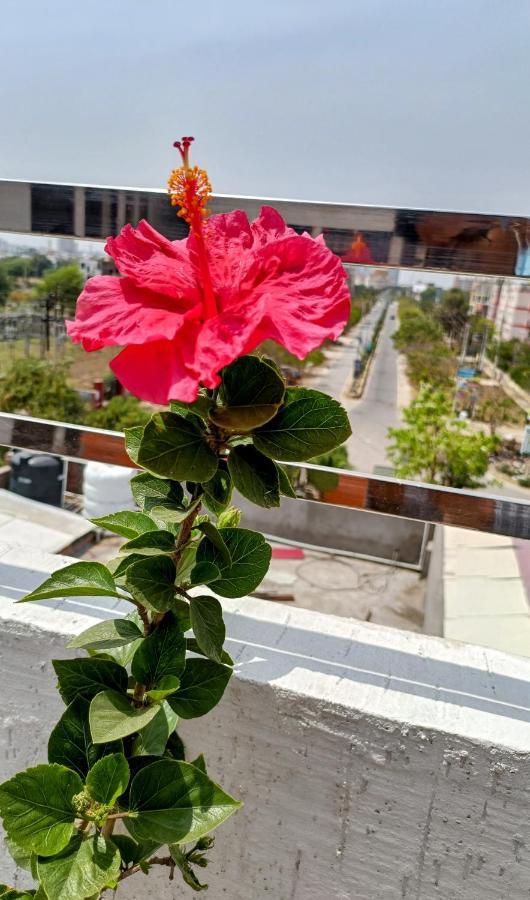 The Hare Krishna Ambiance Hotel *